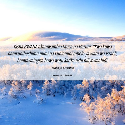 Picture 06 - Hesabu 20:12 SWHULB - Kisha BWANA akamwambia Musa na Haruni, “Kwa - Bible Verse Picture