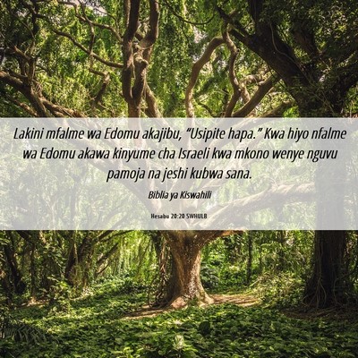 Picture 06 - Hesabu 20:20 SWHULB - Lakini mfalme wa Edomu akajibu, “Usipite - Bible Verse Picture