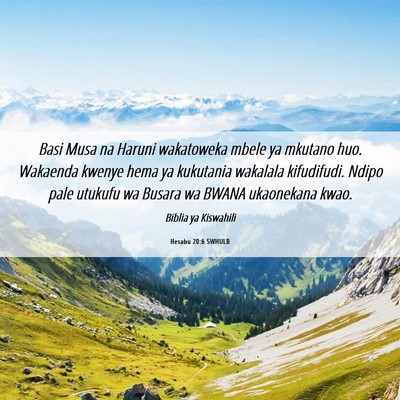 Picture 06 - Hesabu 20:6 SWHULB - Basi Musa na Haruni wakatoweka mbele ya mkutano - Bible Verse Picture