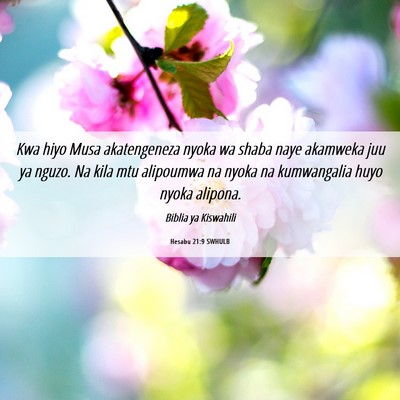 Picture 06 - Hesabu 21:9 SWHULB - Kwa hiyo Musa akatengeneza nyoka wa shaba naye - Bible Verse Picture