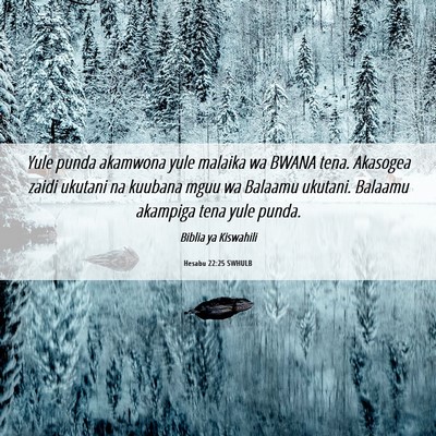 Picture 06 - Hesabu 22:25 SWHULB - Yule punda akamwona yule malaika wa BWANA tena. - Bible Verse Picture