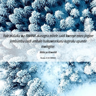 Picture 06 - Hesabu 22:26 SWHULB - Yule malaika wa BWANA akasogea mbele zaidi kwenye - Bible Verse Picture