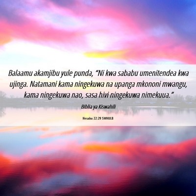 Picture 06 - Hesabu 22:29 SWHULB - Balaamu akamjibu yule punda, “Ni kwa sababu - Bible Verse Picture
