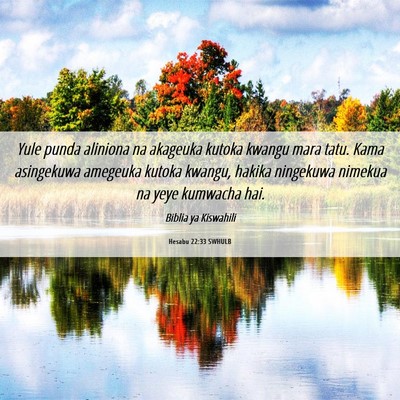 Picture 06 - Hesabu 22:33 SWHULB - Yule punda aliniona na akageuka kutoka kwangu - Bible Verse Picture
