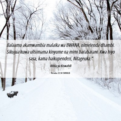Picture 06 - Hesabu 22:34 SWHULB - Balaamu akamwambia malaika wa BWANA, nimetenda - Bible Verse Picture