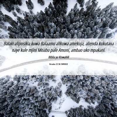 Picture 06 - Hesabu 22:36 SWHULB - Balaki aliposikia kuwa Balaamu alikuwa amekuja, - Bible Verse Picture