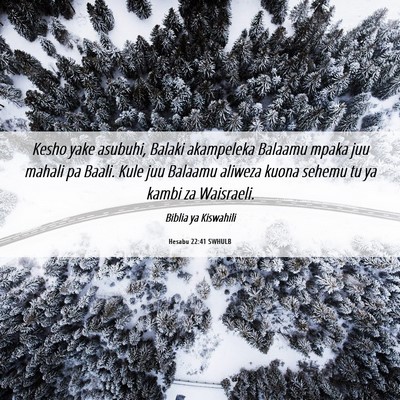 Picture 06 - Hesabu 22:41 SWHULB - Kesho yake asubuhi, Balaki akampeleka Balaamu - Bible Verse Picture