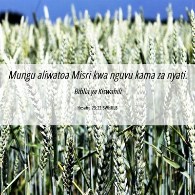 Picture 06 - Hesabu 23:22 SWHULB - Mungu aliwatoa Misri kwa nguvu kama za - Bible Verse Picture