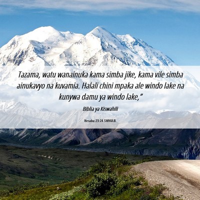 Picture 06 - Hesabu 23:24 SWHULB - Tazama, watu wanainuka kama simba jike, kama vile - Bible Verse Picture