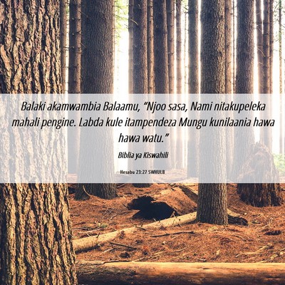 Picture 06 - Hesabu 23:27 SWHULB - Balaki akamwambia Balaamu, “Njoo sasa, Nami - Bible Verse Picture