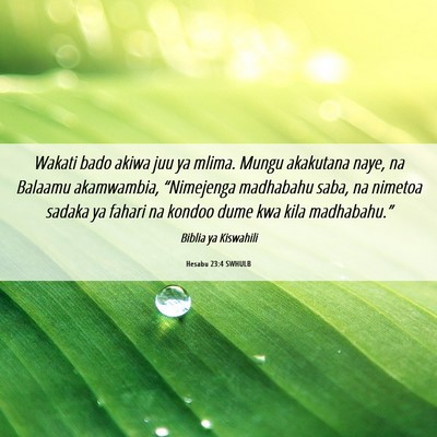 Picture 06 - Hesabu 23:4 SWHULB - Wakati bado akiwa juu ya mlima. Mungu akakutana - Bible Verse Picture