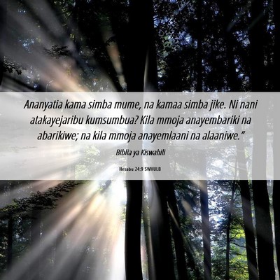 Picture 06 - Hesabu 24:9 SWHULB - Ananyatia kama simba mume, na kamaa simba jike. - Bible Verse Picture