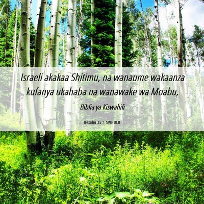 Picture 06 - Hesabu 25:1 SWHULB - Israeli akakaa Shitimu, na wanaume wakaanza - Bible Verse Picture
