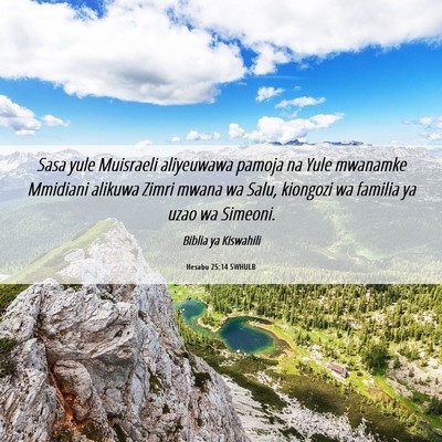 Picture 06 - Hesabu 25:14 SWHULB - Sasa yule Muisraeli aliyeuwawa pamoja na Yule - Bible Verse Picture