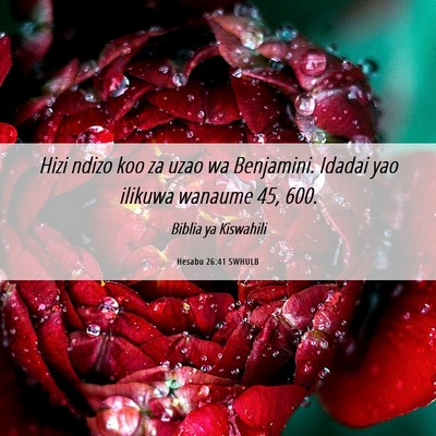 Picture 06 - Hesabu 26:41 SWHULB - Hizi ndizo koo za uzao wa Benjamini. Idadai yao - Bible Verse Picture
