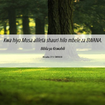 Picture 06 - Hesabu 27:5 SWHULB - Kwa hiyo Musa alileta shauri hilo mbele za - Bible Verse Picture
