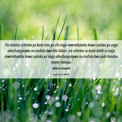 Picture 06 - Hesabu 28:12 SWHULB - Pia mtatoa sehemu ya kumi tatu ya efa unga - Bible Verse Picture