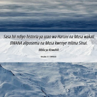 Picture 06 - Hesabu 3:1 SWHULB - Sasa hii ndiyo historia ya uzao wa Haruni na Musa - Bible Verse Picture