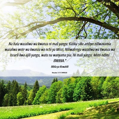 Picture 06 - Hesabu 3:13 SWHULB - Na hata wazaliwa wa kwanza ni mali yangu. Katika - Bible Verse Picture