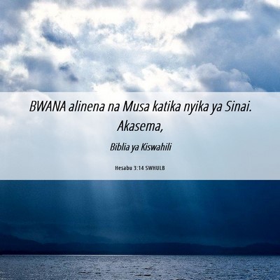 Picture 06 - Hesabu 3:14 SWHULB - BWANA alinena na Musa katika nyika ya Sinai. - Bible Verse Picture