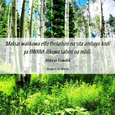 Picture 06 - Hesabu 31:38 SWHULB - Maksai walikuwa elfu thelathini na sita ambayo - Bible Verse Picture