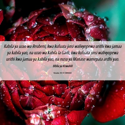 Picture 06 - Hesabu 34:14 SWHULB - Kabila ya uzao wa Reubeni, kwa kufuata jinsi - Bible Verse Picture