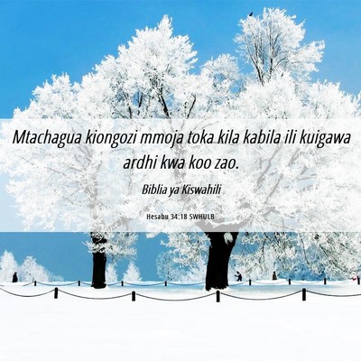 Picture 06 - Hesabu 34:18 SWHULB - Mtachagua kiongozi mmoja toka kila kabila ili - Bible Verse Picture