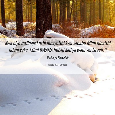 Picture 06 - Hesabu 35:34 SWHULB - Kwa hiyo msiinajisi nchi mnayoishi kwa sababu - Bible Verse Picture