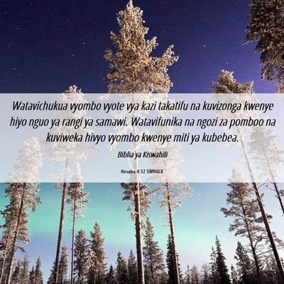 Picture 06 - Hesabu 4:12 SWHULB - Watavichukua vyombo vyote vya kazi takatifu na - Bible Verse Picture