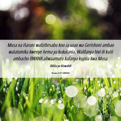 Picture 06 - Hesabu 4:41 SWHULB - Musa na Haruni walizihesabu koo za uzao wa - Bible Verse Picture