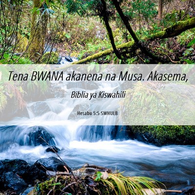 Picture 06 - Hesabu 5:5 SWHULB - Tena BWANA akanena na Musa. - Bible Verse Picture