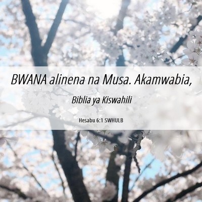 Picture 06 - Hesabu 6:1 SWHULB - BWANA alinena na Musa. - Bible Verse Picture