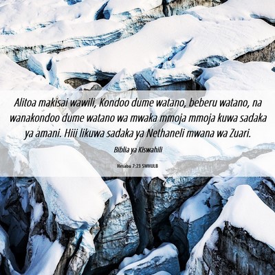 Picture 06 - Hesabu 7:23 SWHULB - Alitoa makisai wawili, Kondoo dume watano, beberu - Bible Verse Picture