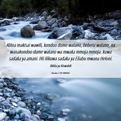 Picture 06 - Hesabu 7:29 SWHULB - Alitoa makisai wawili, kondoo dume watano, beberu - Bible Verse Picture