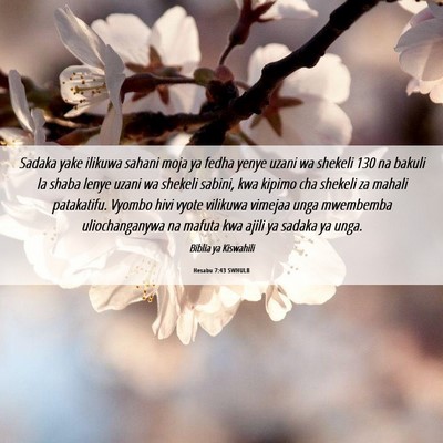 Picture 06 - Hesabu 7:43 SWHULB - Sadaka yake ilikuwa sahani moja ya fedha yenye - Bible Verse Picture