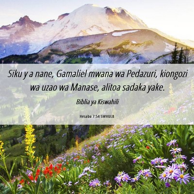 Picture 06 - Hesabu 7:54 SWHULB - Siku y a nane, Gamaliel mwana wa Pedazuri, - Bible Verse Picture