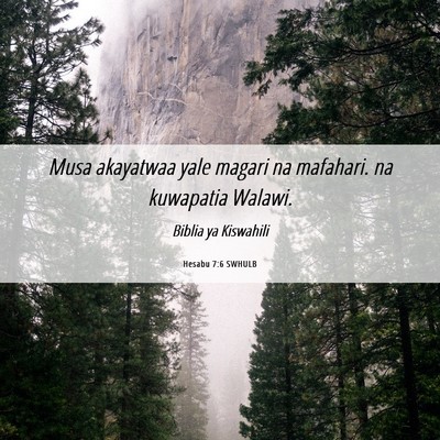 Picture 06 - Hesabu 7:6 SWHULB - Musa akayatwaa yale magari na mafahari. na - Bible Verse Picture
