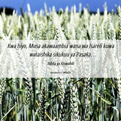 Picture 06 - Hesabu 9:4 SWHULB - Kwa hiyo, Musa akawaambia wana wa Isareli kuwa - Bible Verse Picture