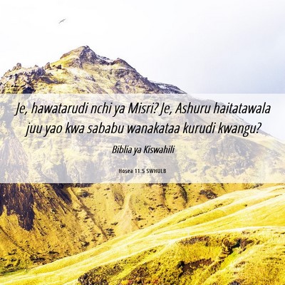 Picture 06 - Hosea 11:5 SWHULB - Je, hawatarudi nchi ya Misri? Je, Ashuru - Bible Verse Picture