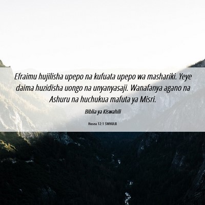 Picture 06 - Hosea 12:1 SWHULB - Efraimu hujilisha upepo na kufuata upepo wa - Bible Verse Picture