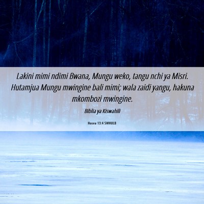 Picture 06 - Hosea 13:4 SWHULB - Lakini mimi ndimi Bwana, Mungu weko, tangu nchi - Bible Verse Picture