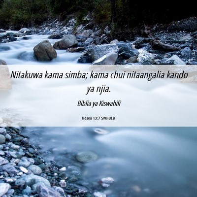 Picture 06 - Hosea 13:7 SWHULB - Nitakuwa kama simba; kama chui nitaangalia kando - Bible Verse Picture