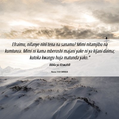 Picture 06 - Hosea 14:8 SWHULB - Efraimu, nifanye nini tena na sanamu? Mimi - Bible Verse Picture