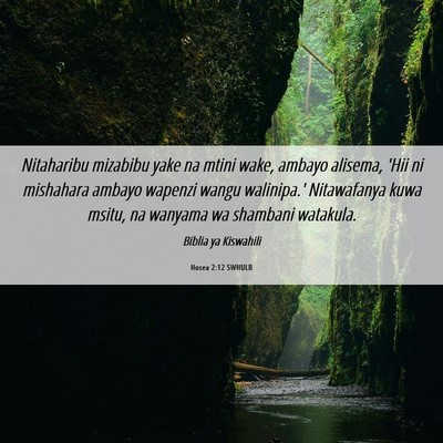 Picture 06 - Hosea 2:12 SWHULB - Nitaharibu mizabibu yake na mtini wake, ambayo - Bible Verse Picture
