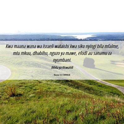 Picture 06 - Hosea 3:4 SWHULB - Kwa maana wana wa Israeli wataishi kwa siku - Bible Verse Picture