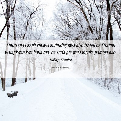 Picture 06 - Hosea 5:5 SWHULB - Kiburi cha Israeli kinawashuhudia; Kwa hiyo - Bible Verse Picture