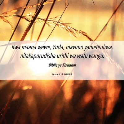 Picture 06 - Hosea 6:11 SWHULB - Kwa maana wewe, Yuda, mavuno yameteuliwa, - Bible Verse Picture