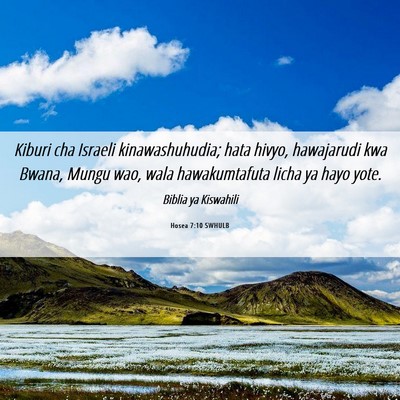 Picture 06 - Hosea 7:10 SWHULB - Kiburi cha Israeli kinawashuhudia; hata hivyo, - Bible Verse Picture