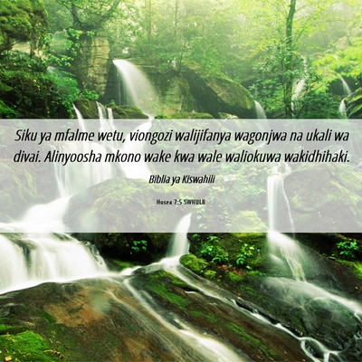 Picture 06 - Hosea 7:5 SWHULB - Siku ya mfalme wetu, viongozi walijifanya - Bible Verse Picture