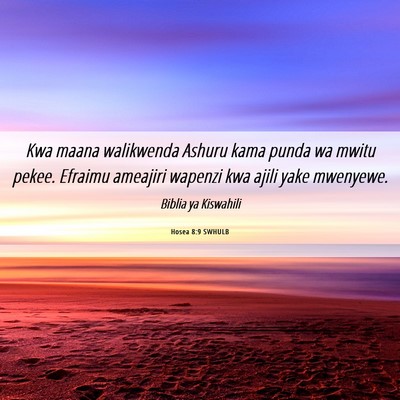 Picture 06 - Hosea 8:9 SWHULB - Kwa maana walikwenda Ashuru kama punda wa mwitu - Bible Verse Picture